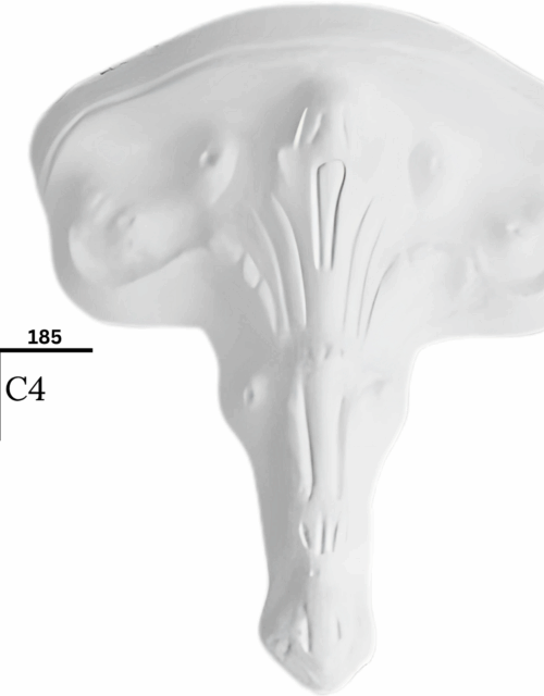 Corbels C4